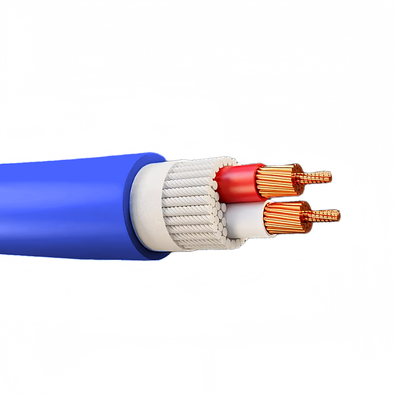 High-Quality Microphone Cable (1)